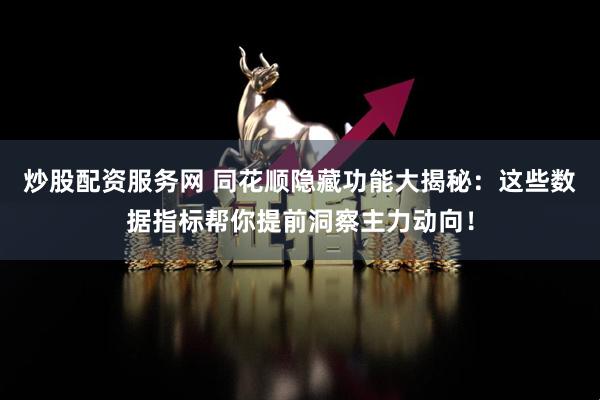 炒股配资服务网 同花顺隐藏功能大揭秘：这些数据指标帮你提前洞察主力动向！