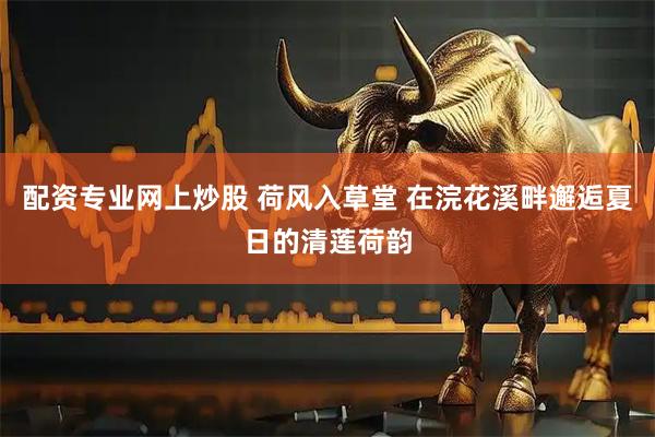 配资专业网上炒股 荷风入草堂 在浣花溪畔邂逅夏日的清莲荷韵